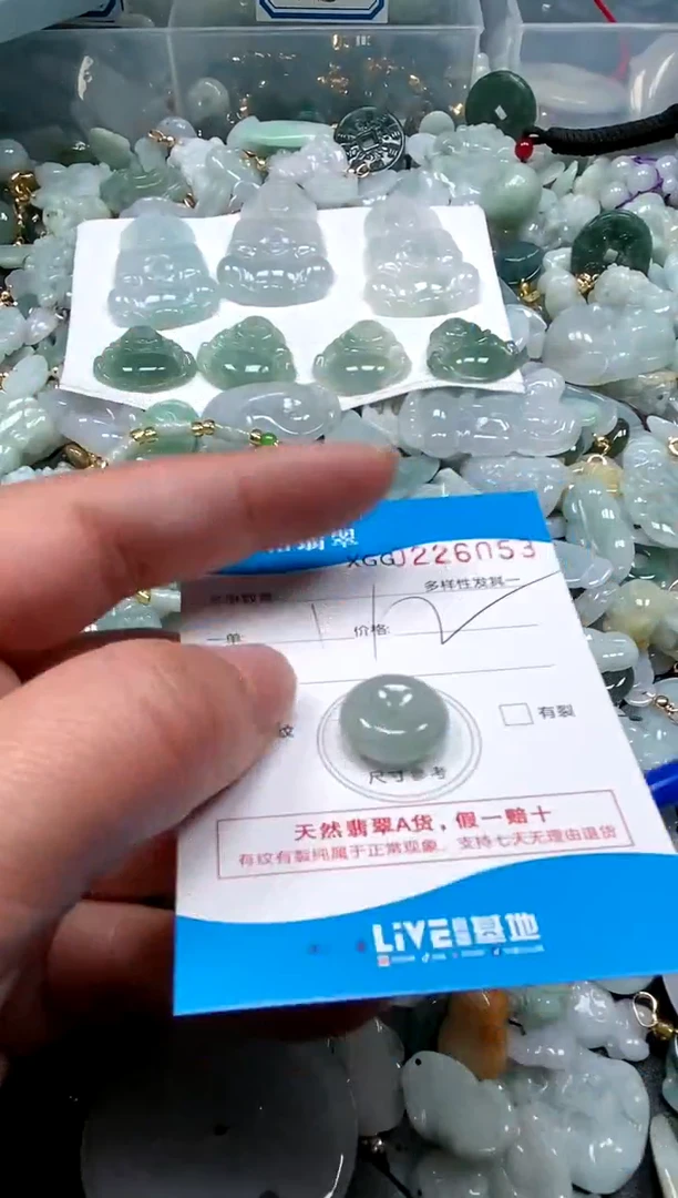 【闪购商品】翡翠颈饰未镶嵌闪购商品0226053
