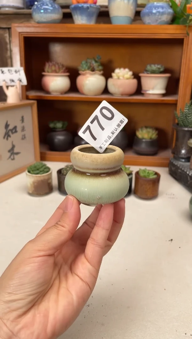 瓷片微瑕770小芳直播编号