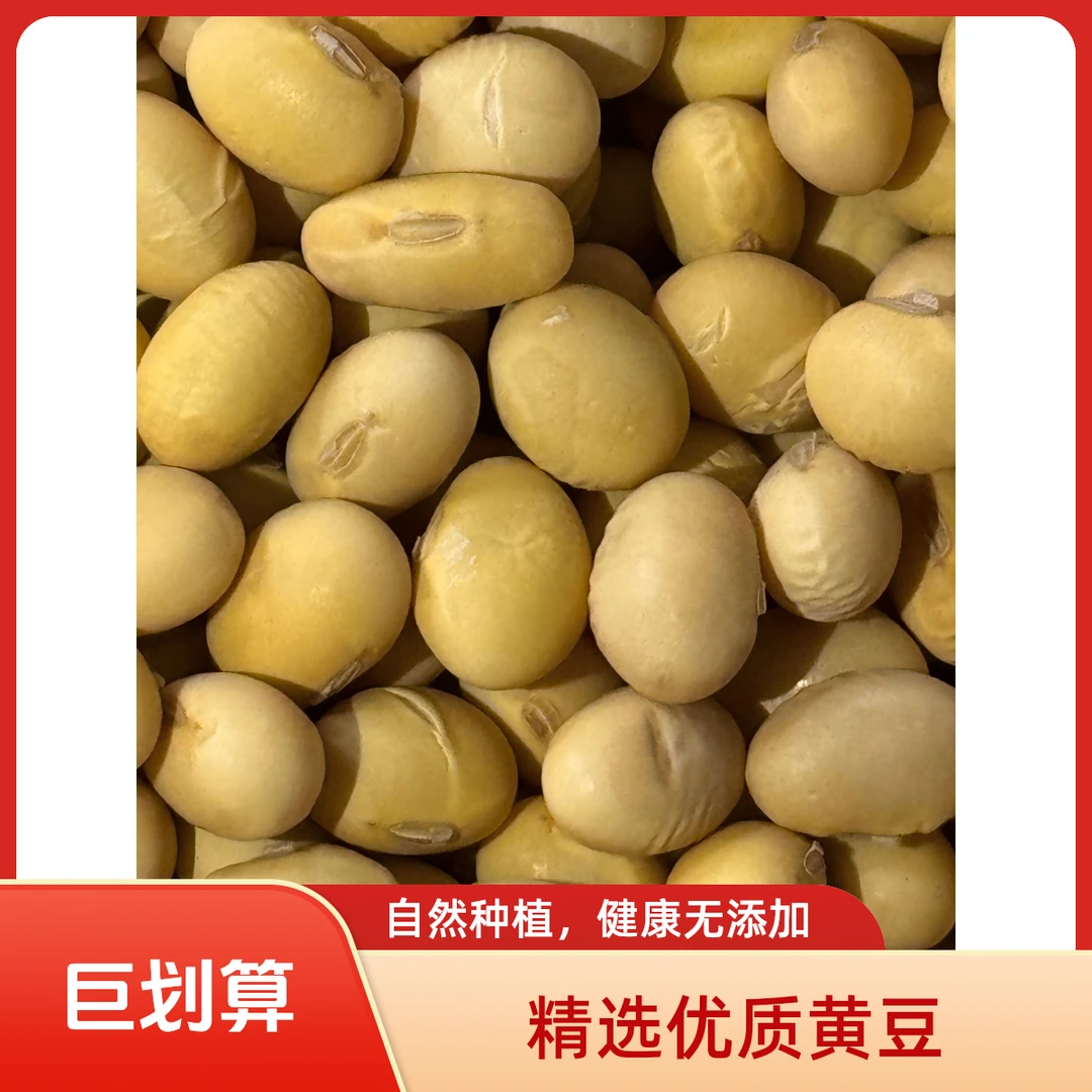 农家自种笨椭圆黄豆 长粒型酱豆豆浆原料3斤5斤