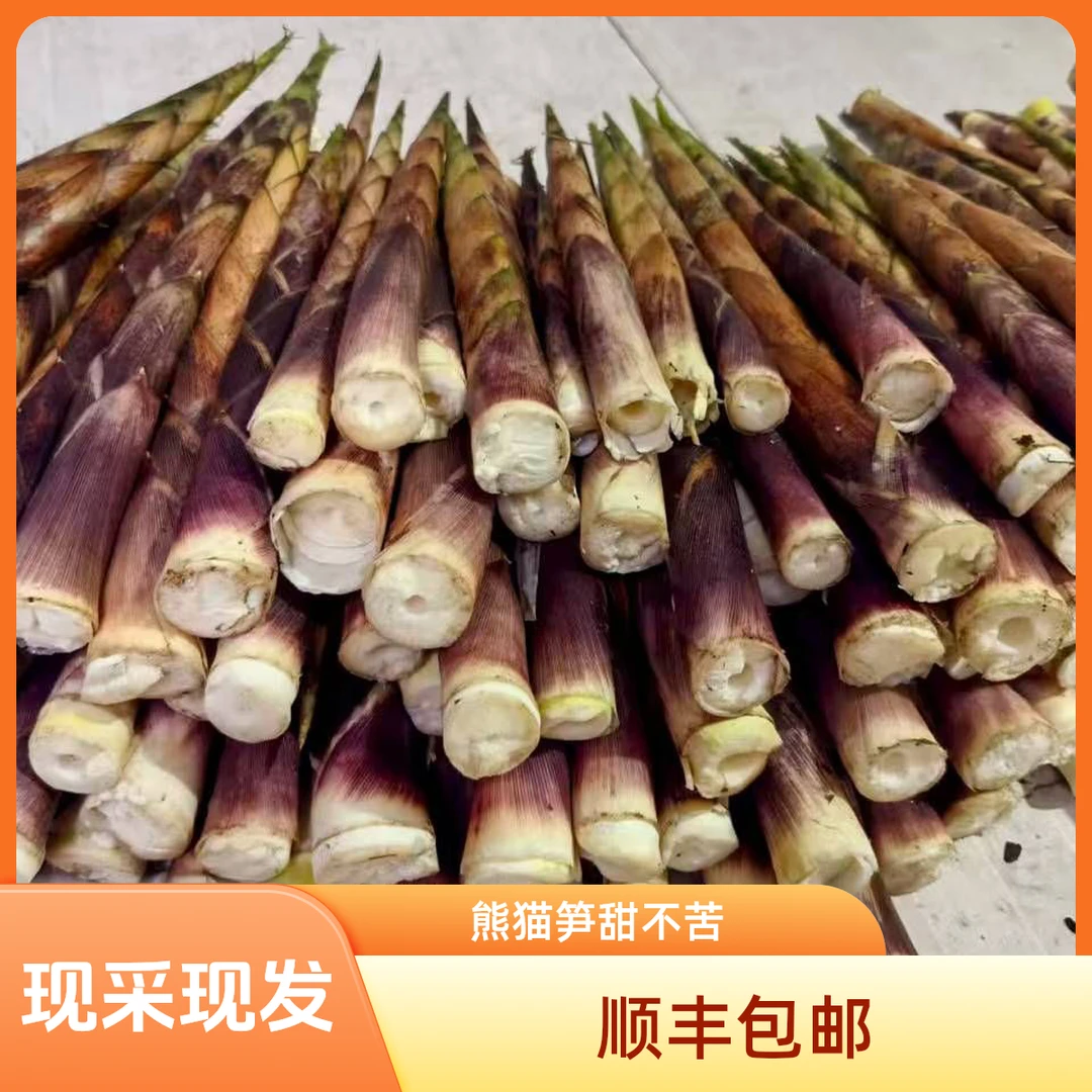 牛尾笋鲜笋顺丰包邮不苦微甜方竹笋熊猫笋刺竹笋秋笋当季新鲜