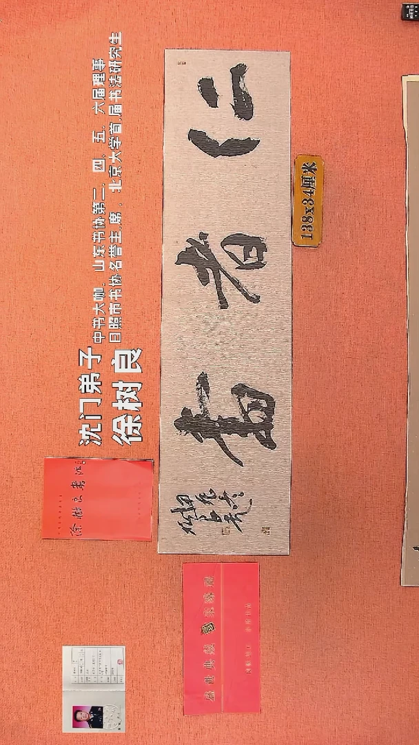 【闪购商品】书法139        徐树良书法作品