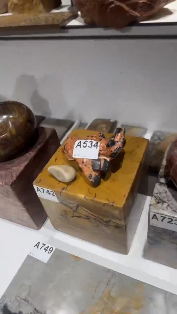 11111111111愚*鱼111111111111