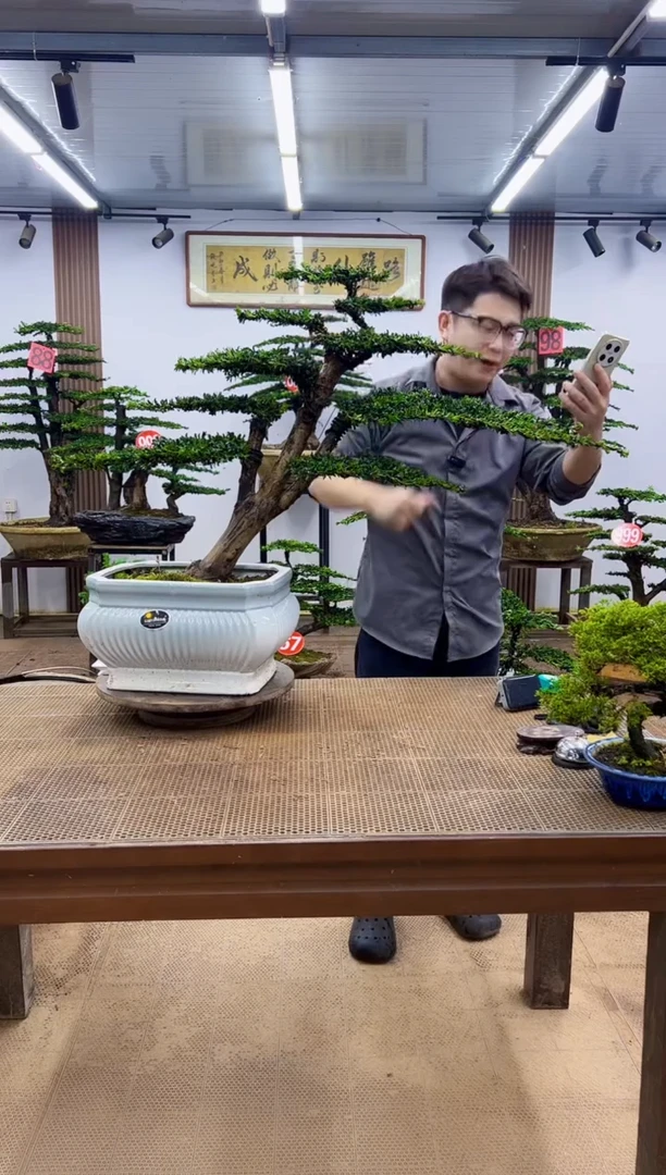 无花朵一物一拍，所见即所得