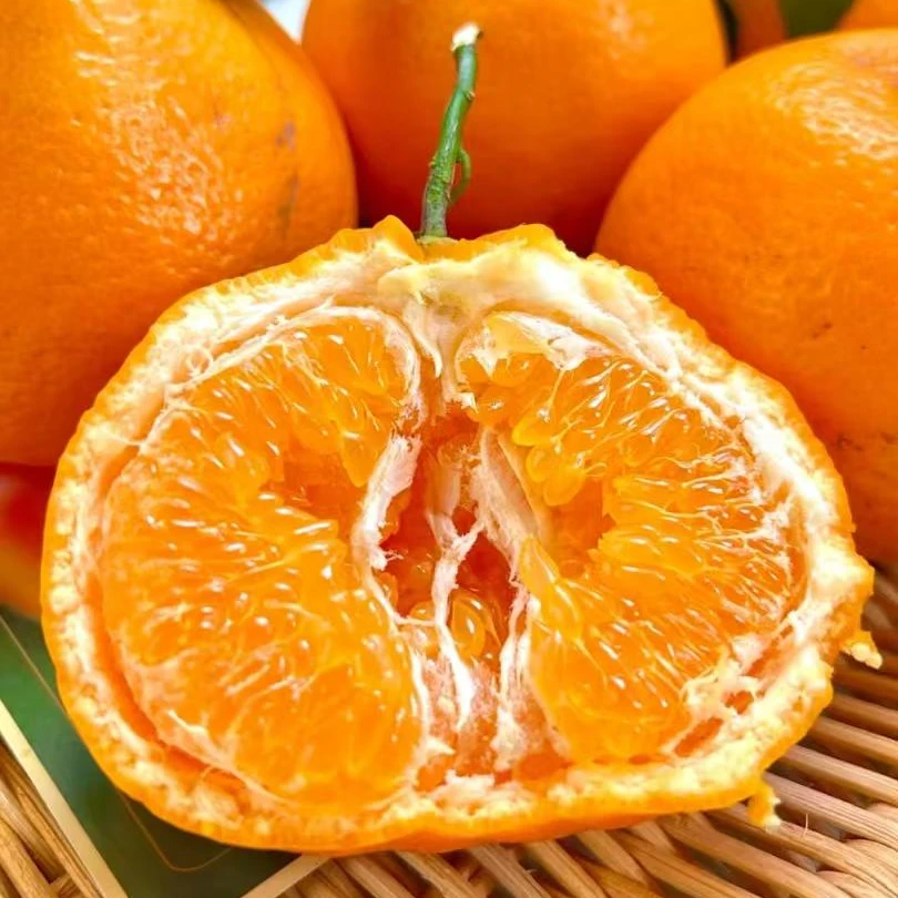 A四川眉山正宗春见耙耙柑产地直销新鲜耙耙柑爆汁