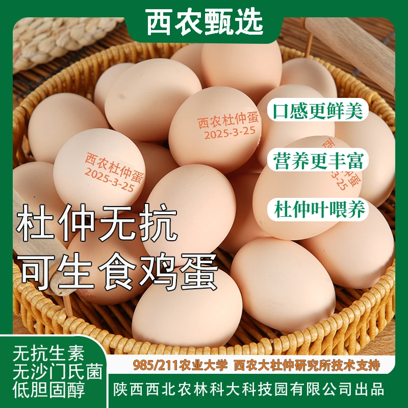 西农稷盛杜仲无抗可生食鸡蛋985/211农业大学无菌蛋
