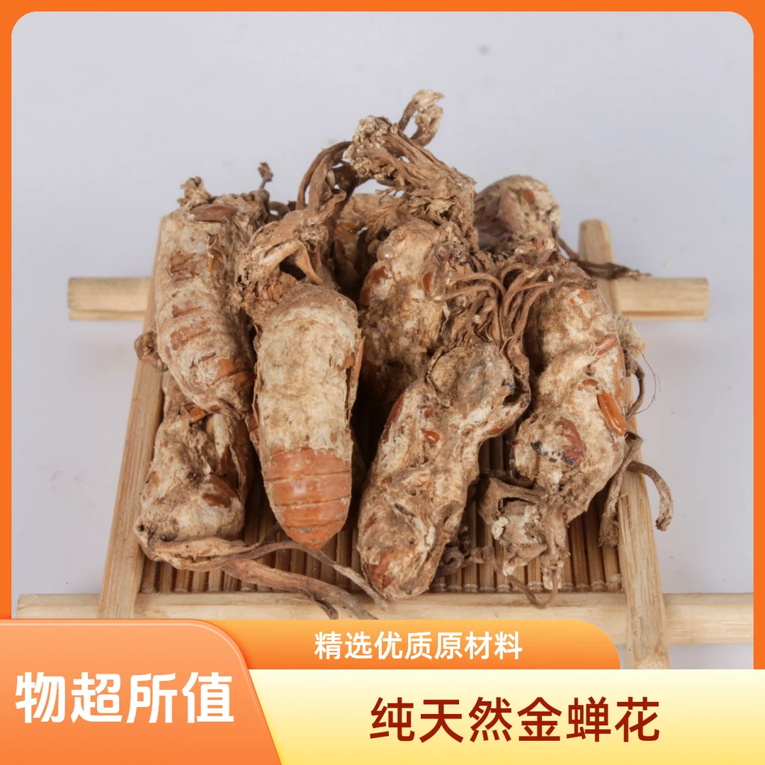 新货大别山竹林金蝉花土蝉花金婵花蛹虫草金蚕花包邮熬汤