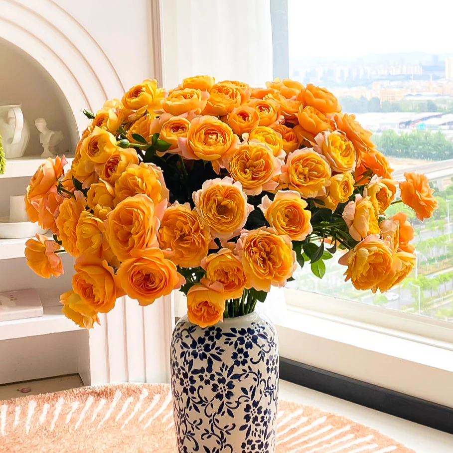 【一单冷链】果汁阳台多头玫瑰云南基地多头玫瑰鲜切花直发新鲜七夕