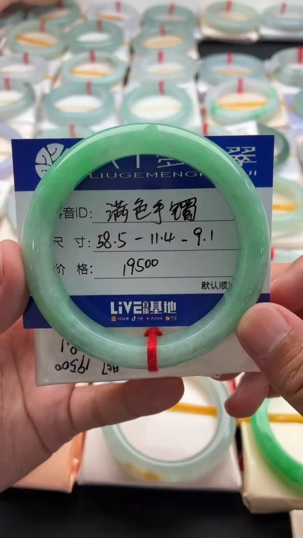未镶嵌手镯（贵妃镯）翡翠满色手镯