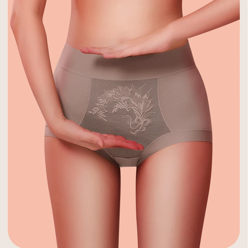 黛凡妮高腰女内裤ZDN62423