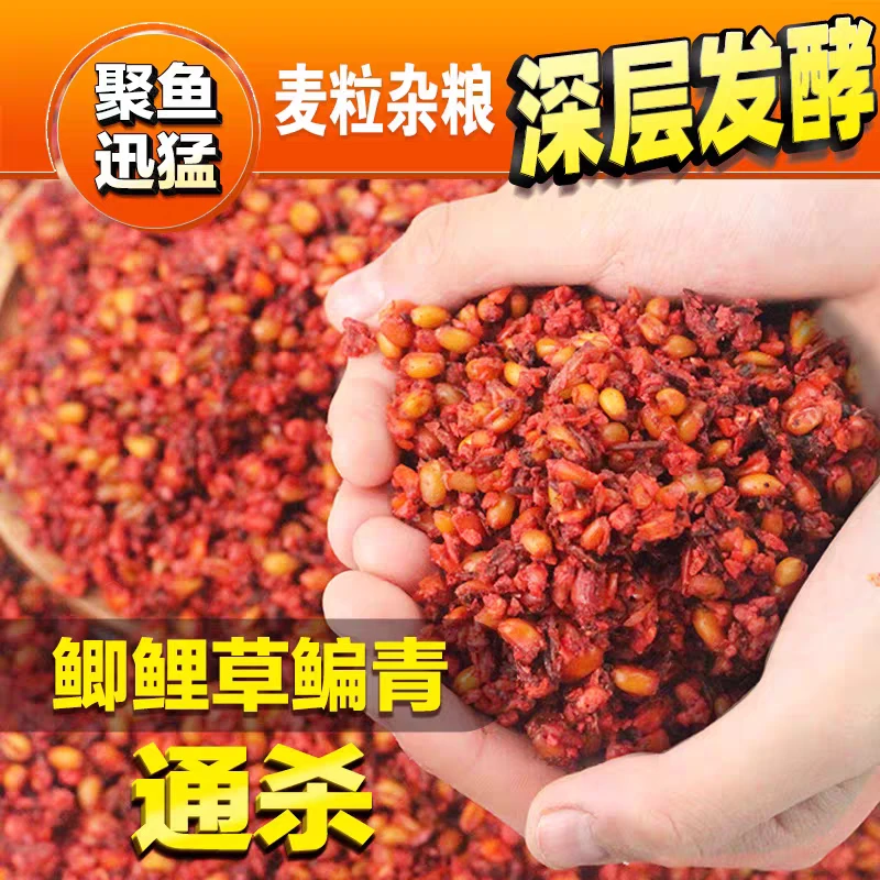 40斤窝料酒米果酸玉米麦粒鲫鱼酒米野钓湖库鲫鲤青草鳊钓鱼饵料