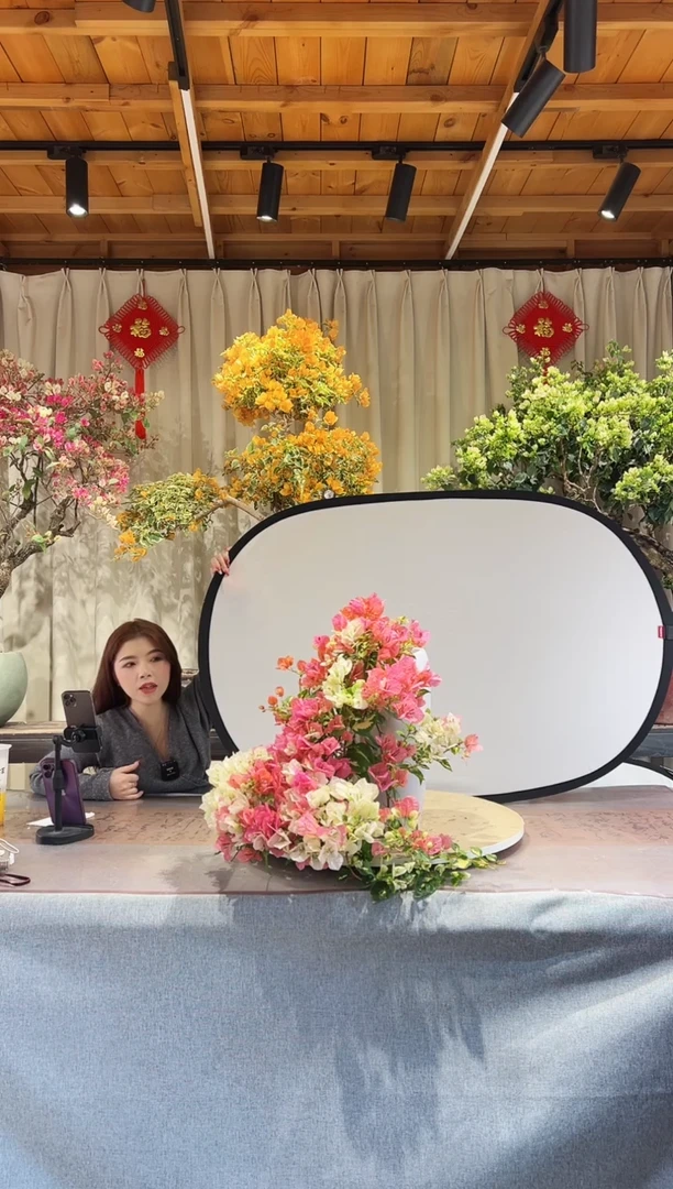 【闪购商品】盆景金心橙白