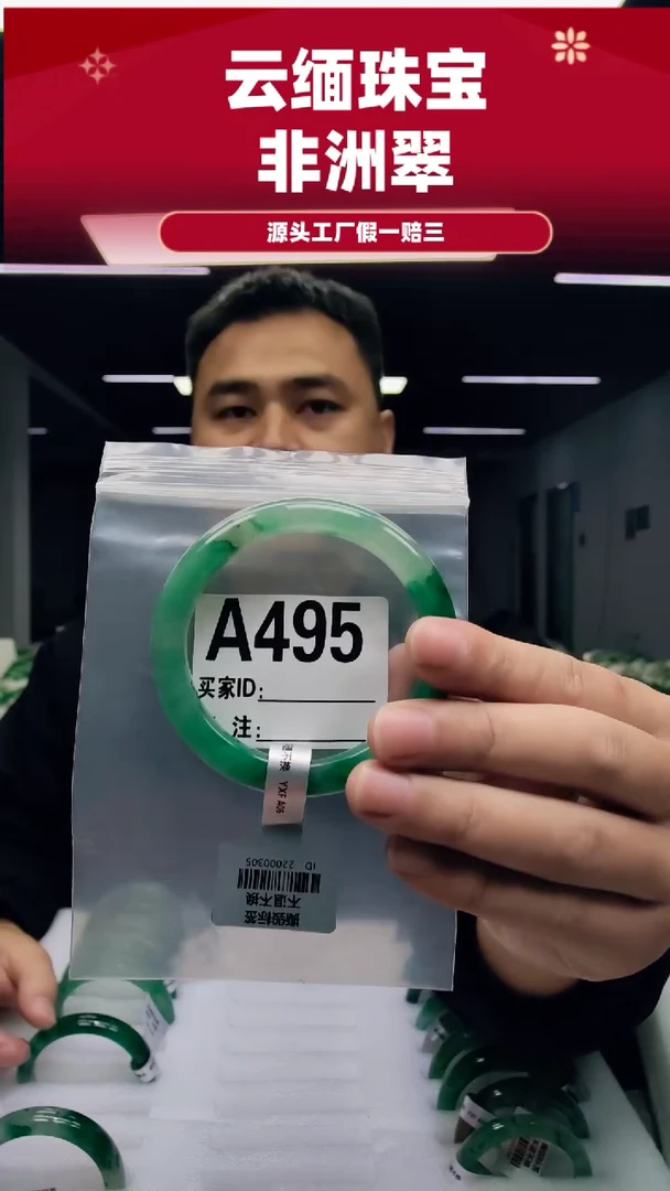 未镶嵌手镯石英质玉（非洲翠）59圈口A495