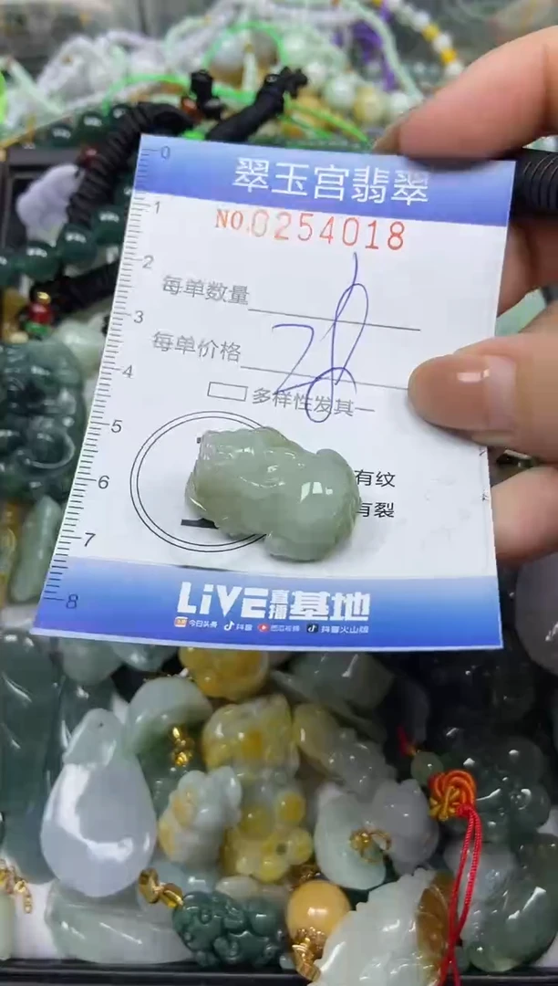 颈饰未镶嵌翡翠闪购C0254018