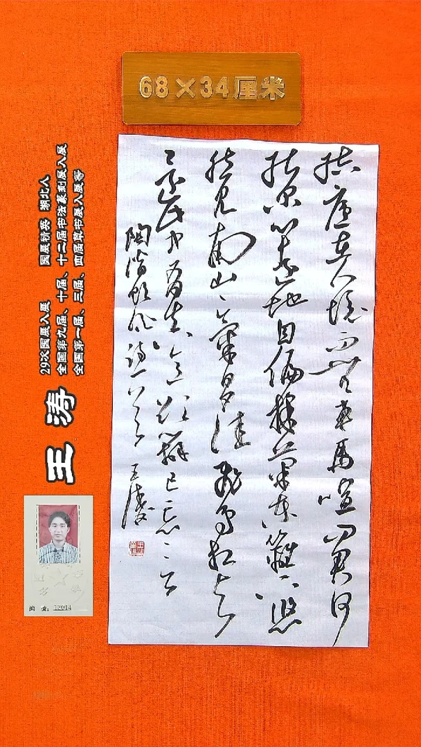 书法79a王涛书法作品