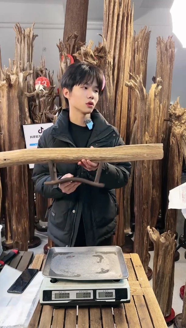 【闪购商品】沉香摆件沉香摆件多样性发一件95