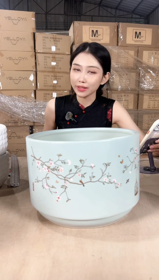 蝴蝶兰鸟笼蓝色大号25x18