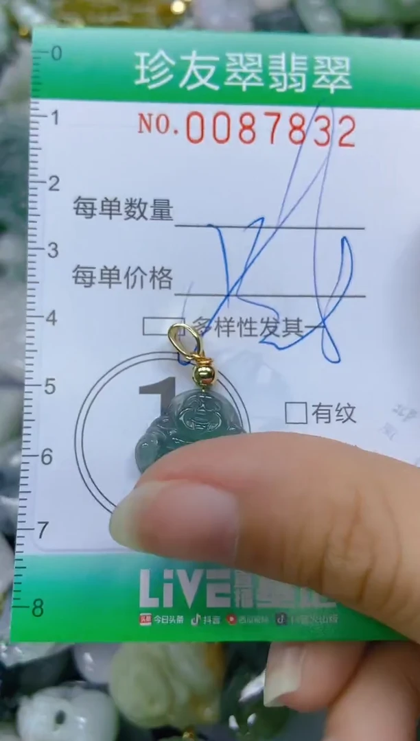 【闪购商品】翡翠颈饰未镶嵌闪购0087832多样性发其一