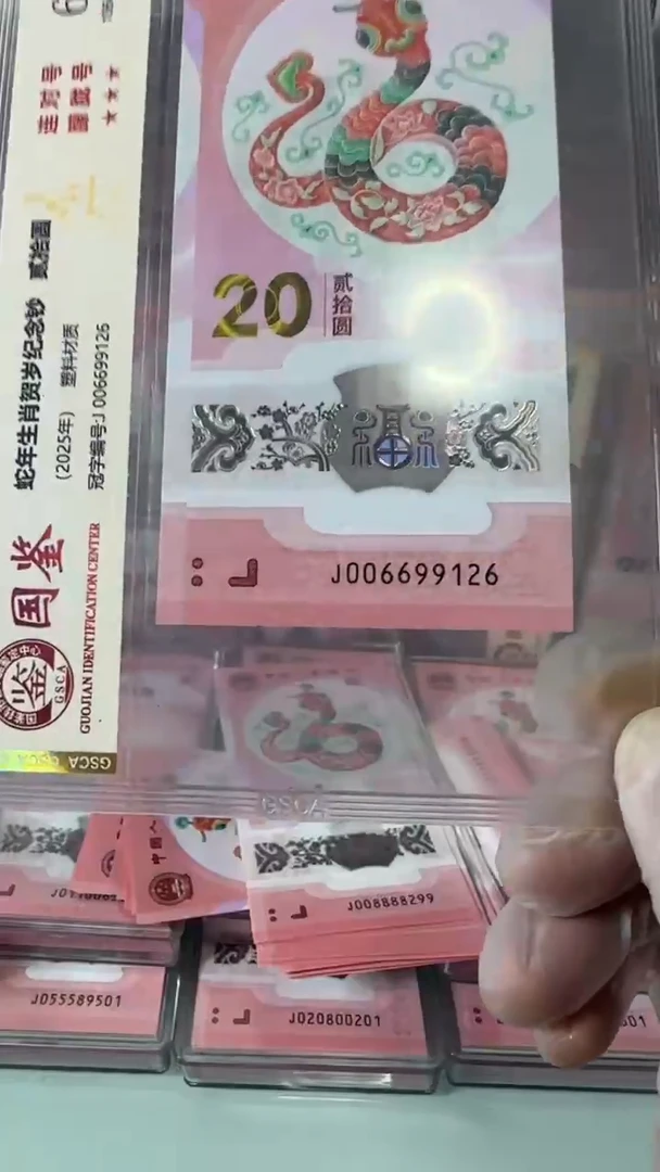 【闪购商品】塑料006699126-蛇钞单张！