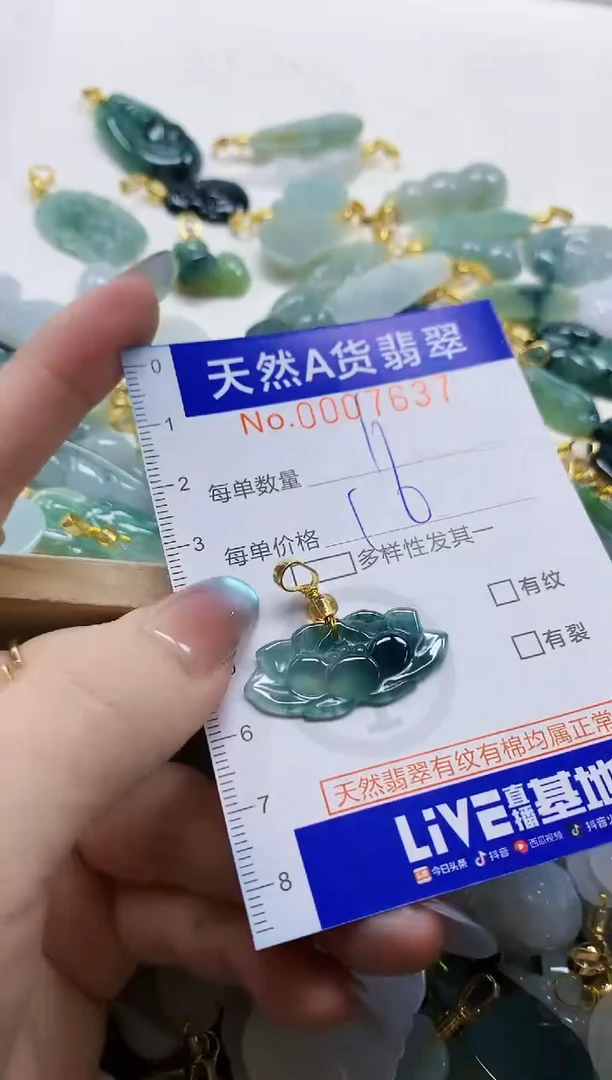 颈饰未镶嵌翡翠纯天然a货翡翠