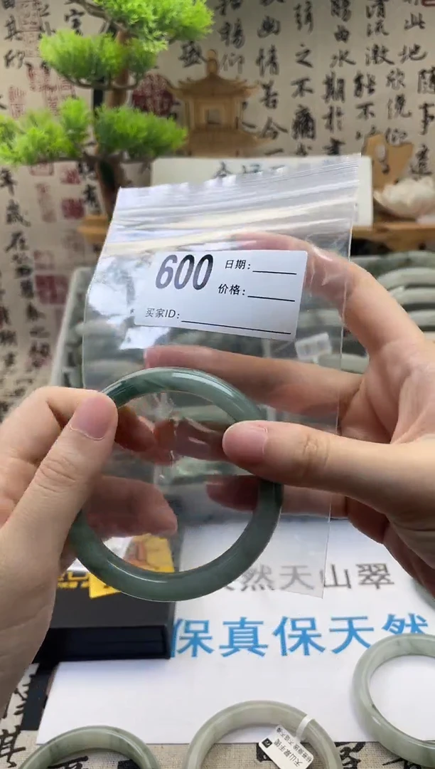 石英质玉（天山翠）手镯未镶嵌600