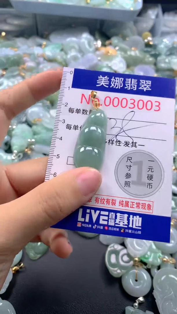 颈饰未镶嵌翡翠3003