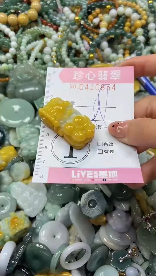 颈饰未镶嵌翡翠闪购0409854