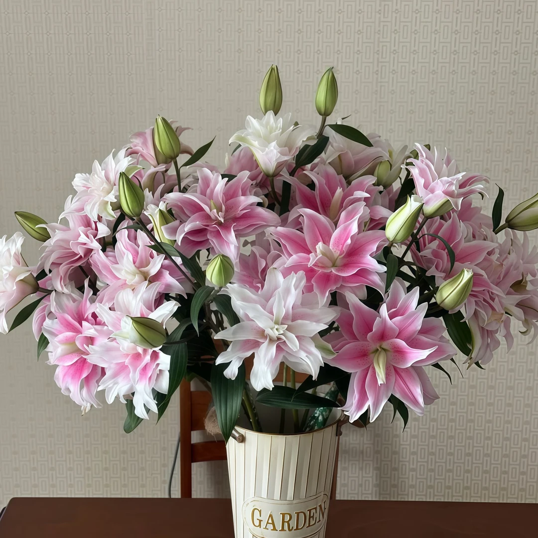 【伊莎贝拉AK】伊莎贝拉重瓣香水百合   | 全场任意满两单鲜花包邮