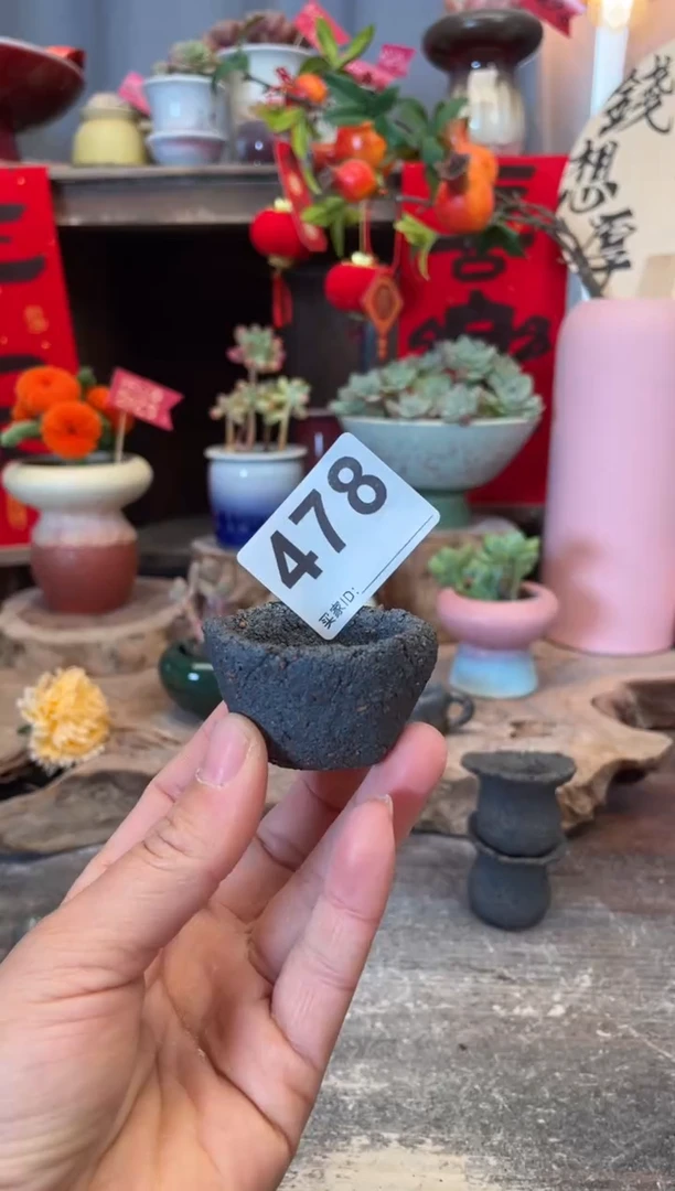 【闪购商品】摆件478知木小芳花盆