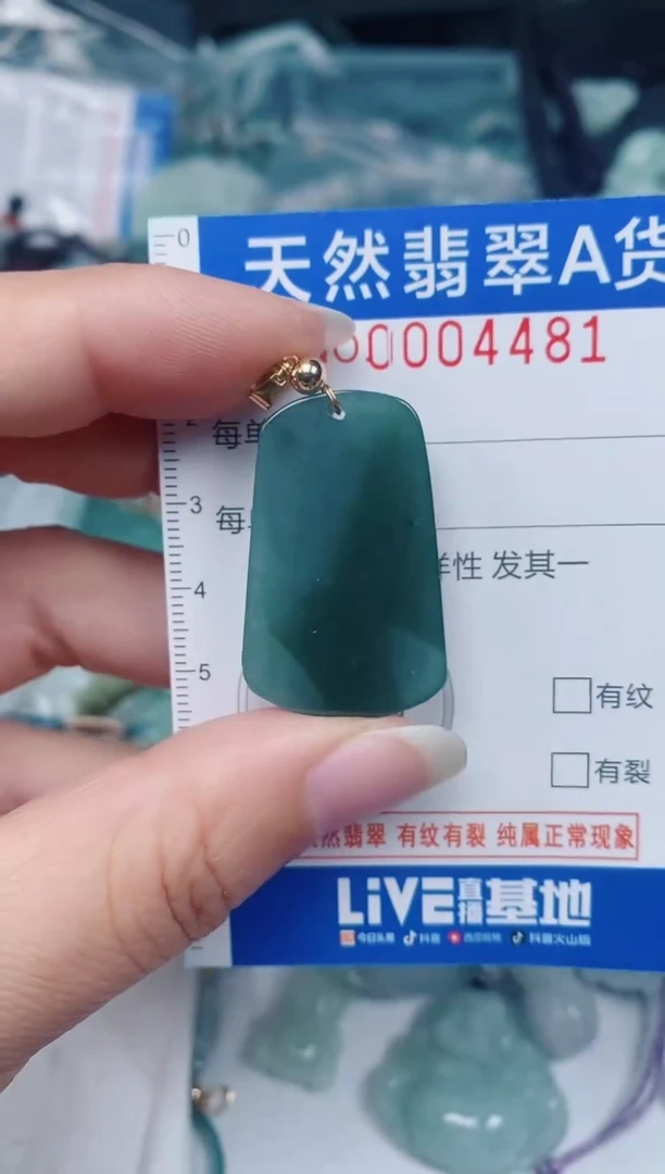 颈饰未镶嵌翡翠00004481