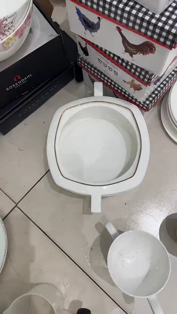 瓷品锅碗隆达骨质瓷