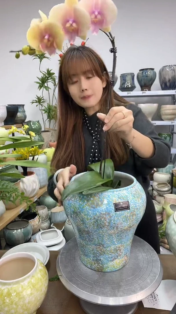 11.26陶瓷花盆直播链接高. 2   口19