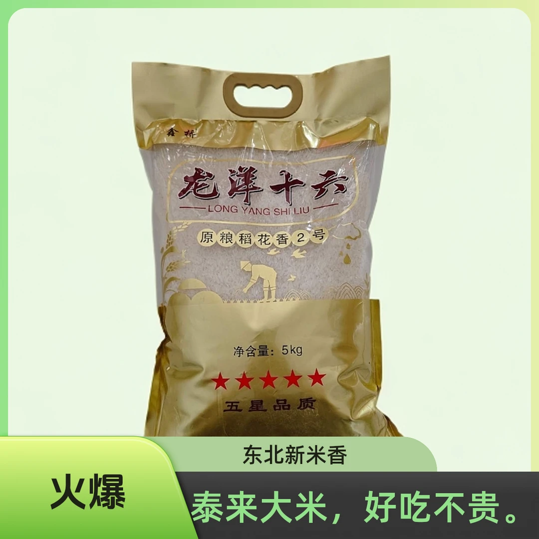 东北新米 齐齐哈尔泰来县长粒香大米10斤装 米饭嘎嘎香