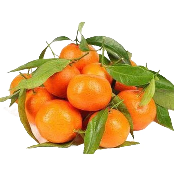 沙糖桔砂糖橘当季新鲜水果2500g 快递包装