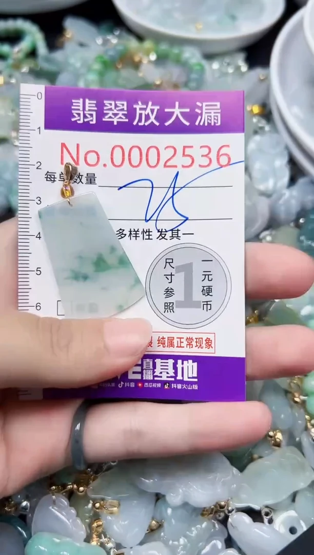 颈饰未镶嵌翡翠2536