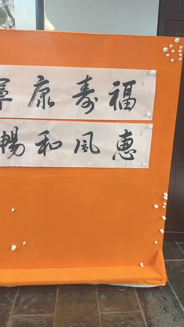 【闪购商品】书法张海涛书法作品不同画面