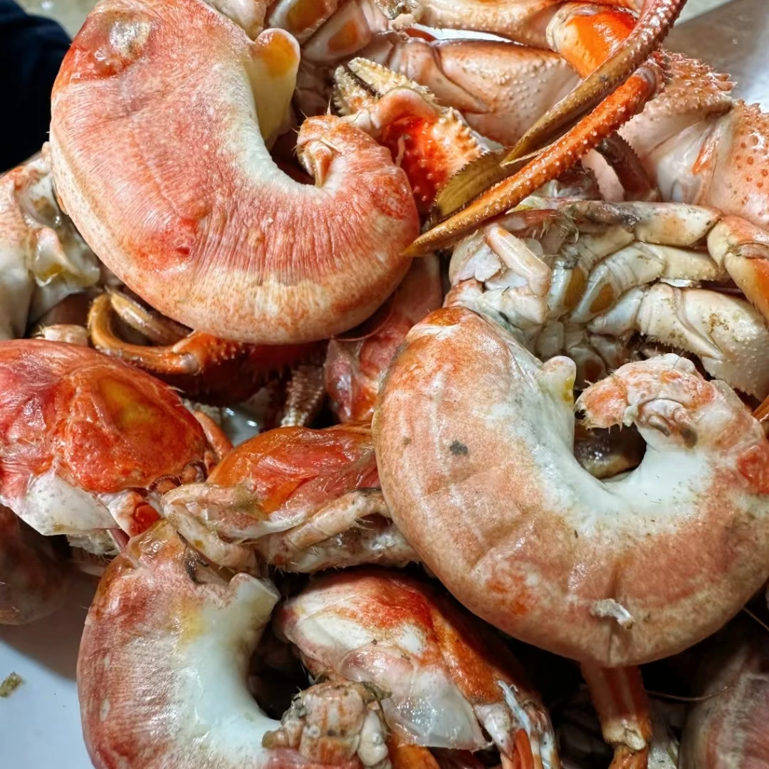 【大连海洋岛虾怪】3斤/4斤寄居蟹顺丰包邮保鲜不保活（个别有沙蚕）