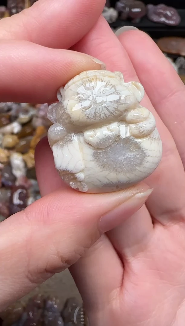 颈饰未镶嵌硅化珊瑚（珊瑚玉）765