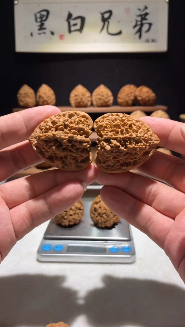 把件文玩核桃F****y老款三角满天星41尺寸一只微刮