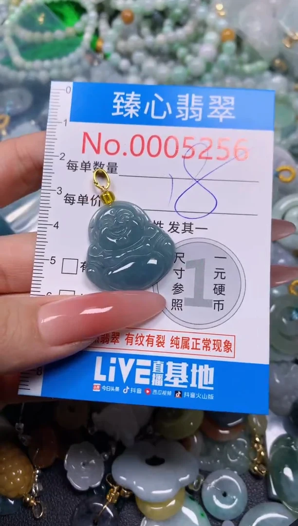 【闪购商品】翡翠颈饰未镶嵌含绳0005256