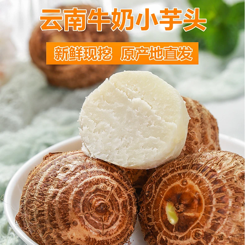 云南牛奶芋头小芋头毛芋头软糯芋牛奶芋应季蔬菜