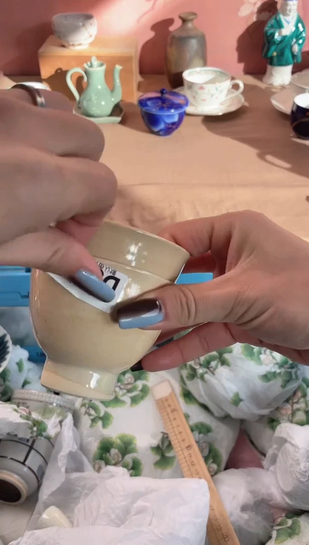 瓷片虫*瓷器瓷器D833