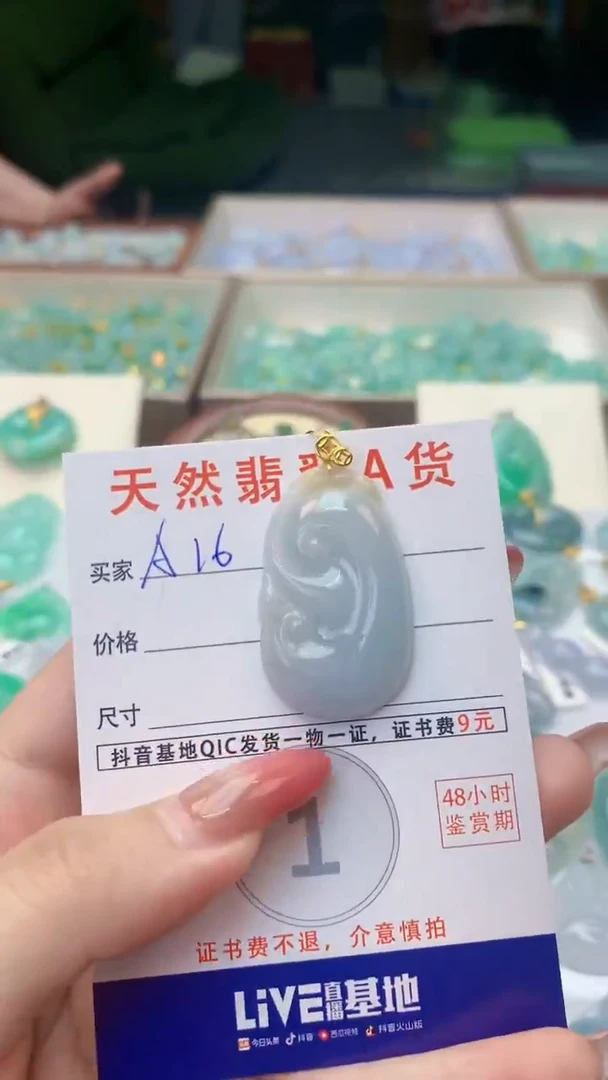 颈饰未镶嵌翡翠天然A货翡翠挂件