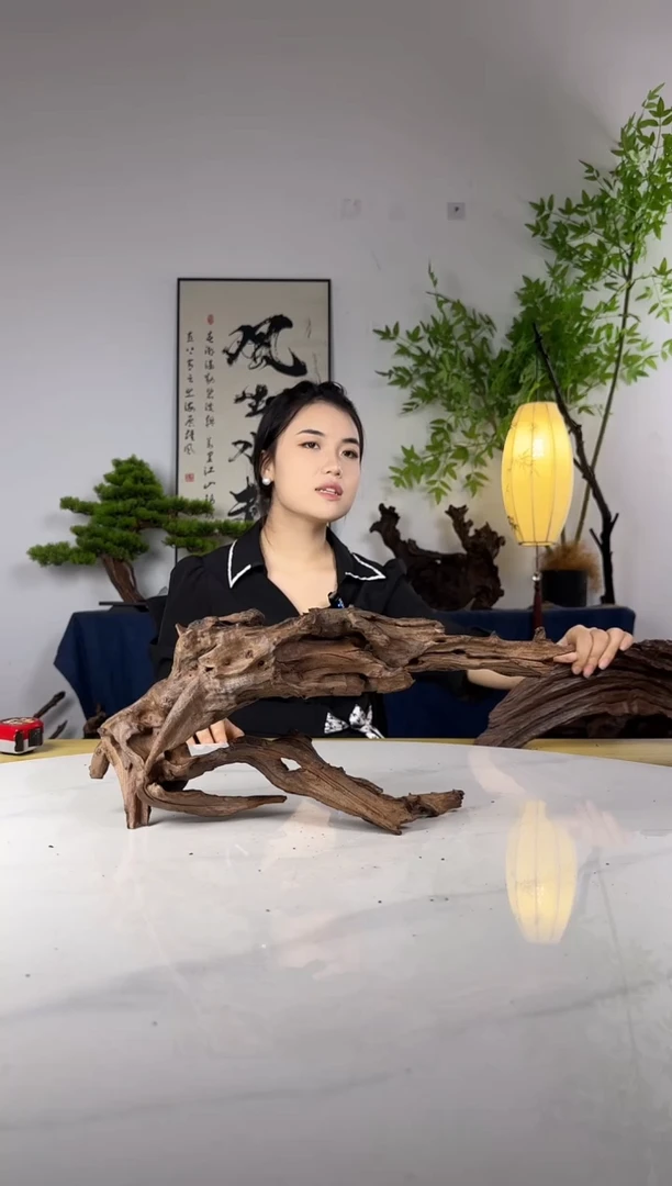 大*拍这个定向编号34