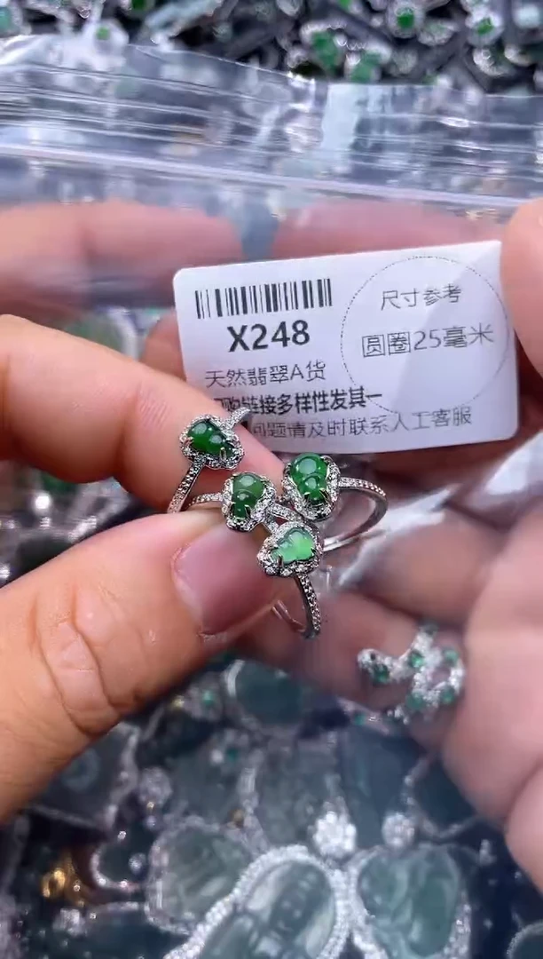 【闪购商品】翡翠颈饰未镶嵌X248戒指 多样性发其一