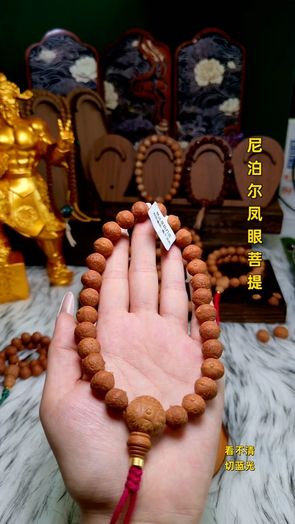 手串凤眼菩提12实心子