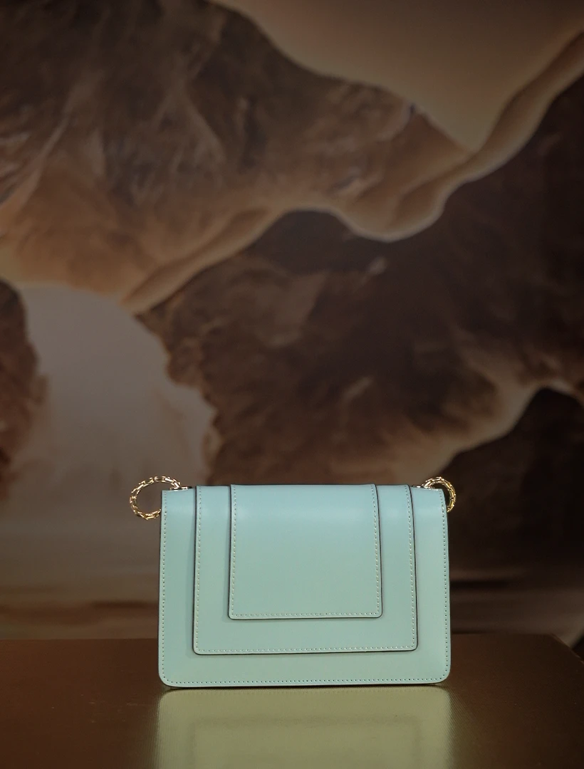 19*8*13.5cm轻奢时尚百搭手提单肩斜跨女款包包