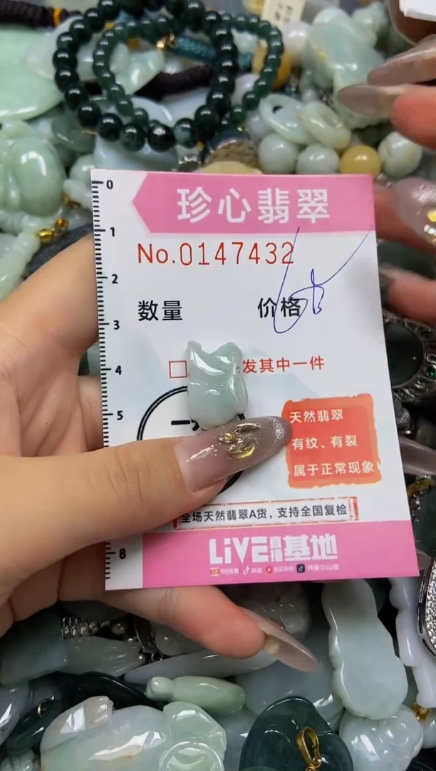 【闪购商品】翡翠颈饰未镶嵌闪购0147432