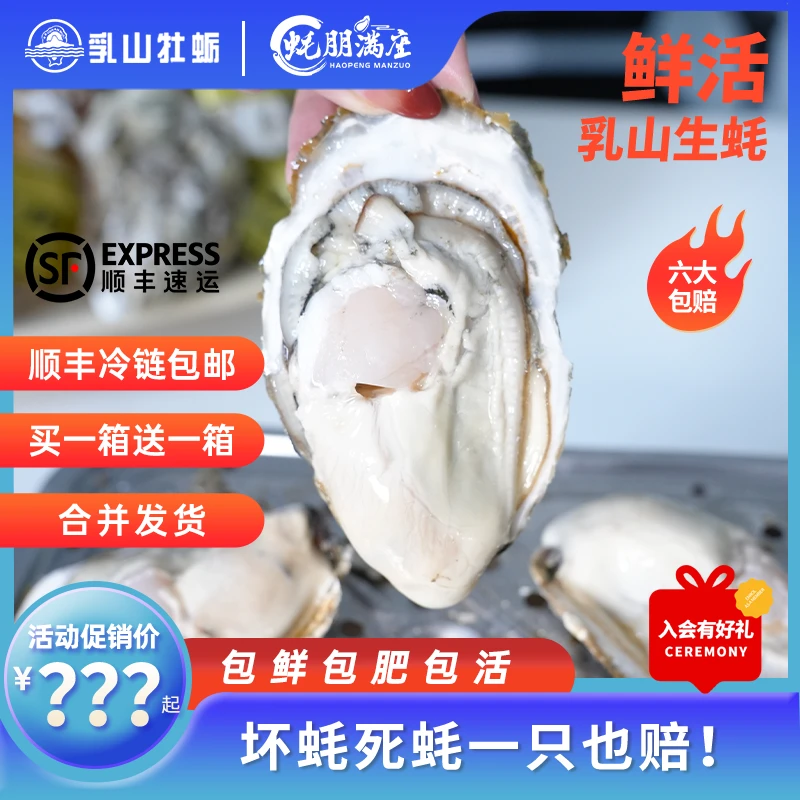 【买3送2买5送5】蚝朋满座乳山生蚝海鲜大蚝鲜活顺丰生蚝乳山5-10斤