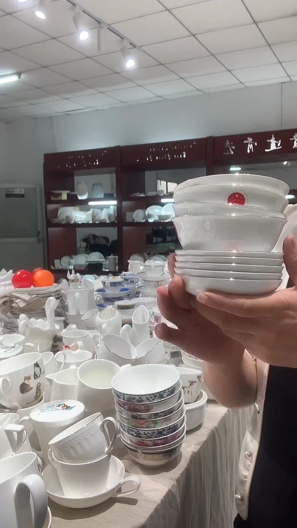 隆达骨瓷 福利四个碗五个碟