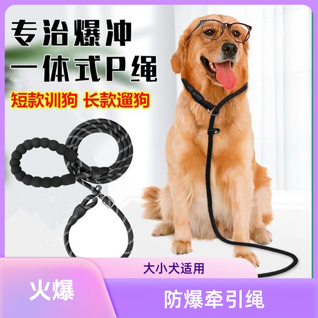 狗狗牵引绳防爆冲p链金毛泰迪可调节狗链子小中大型遛狗牵引绳子